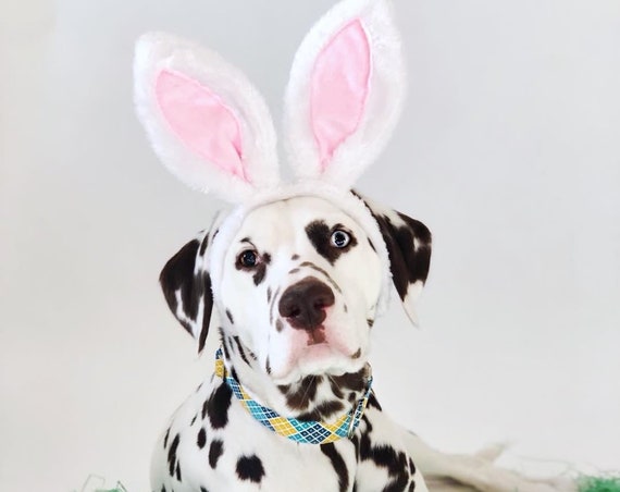 Bunny Ears for Dogs || Rabbit Ears || Bunny Costume for Dogs || Animal Rabbit Ears