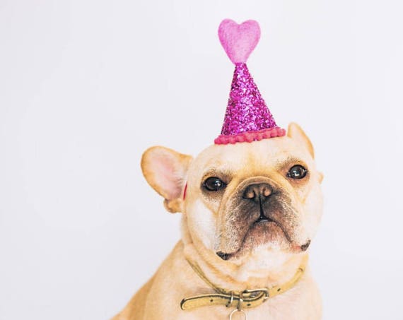 Dog Party Hat || Heart Headband ||February Birthday || Pink and Red || Love