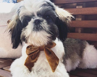 Lhasa Apso Tie Mens Dog Breed Neck Tie