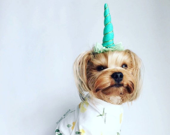 Unicorn Horn Headband for Dog || Pet Unicorn Costume || Dog Unicorn || Unicorn Dog