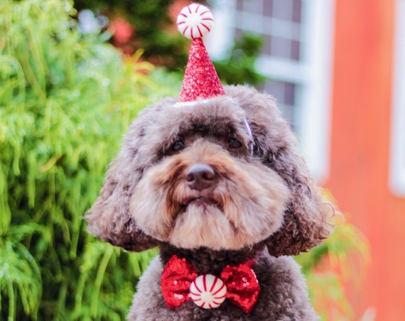 Peppermint Hat || Christmas Hat and Bow Tie || Peppermint Dog Christmas Outfit Costume || Animal Pet Holiday Outfit