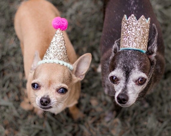 Dog Birthday || Dog Party Hat Pet Party Crown Animal Hat Dog Crown Busters Party Shop