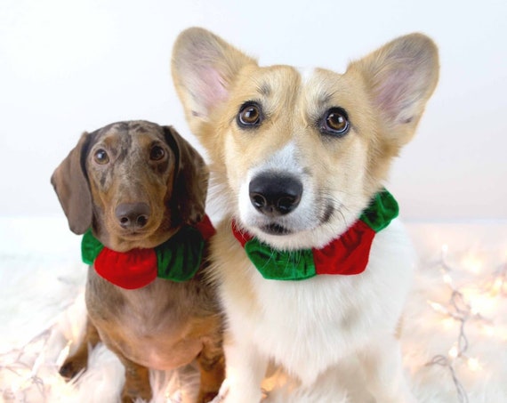 Elf Costume || Christmas Elf || Christmas Clothes for Dogs || Cat Elf Costume || Busters Party Shop || Holiday Accessory