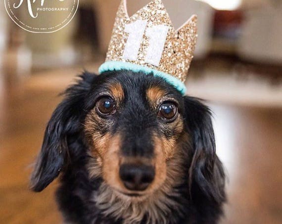 Dog Birthday Crown Hat || Animal Party Hat || Cat Kitty Puppy Pig Birthday Crown Hat || Add Any Number