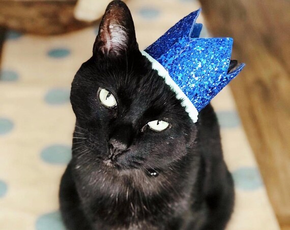 Cat Hat || Cat Costume || Pet Party Hat || Cat Kitty Puppy Pig Birthday Crown Hat || Dog Gift || Pet Clothing || Dog Tag
