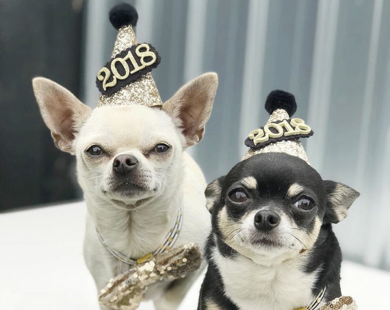 New Years Eve Hat and Bow Tie Set || New Years || Busters Party Shop || Birthday Crown || Party Supplies