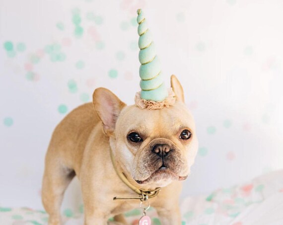 Dog Unicorn Headband || Unicorn Headband for Dog || Dog Unicorn Costume || Dog Unicorn || Unicorn Dog