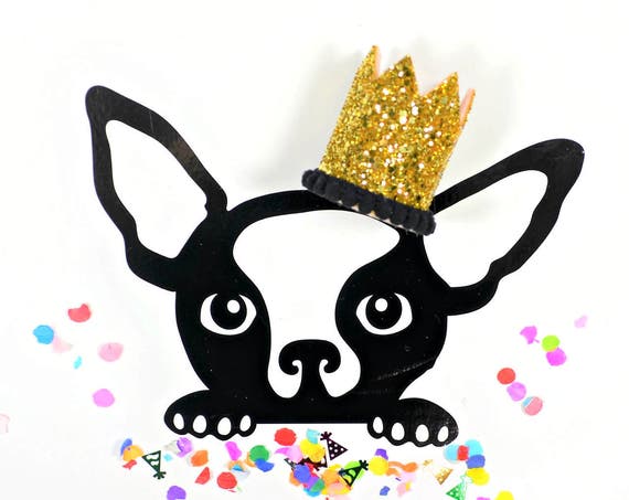 Mini Birthday Crown || Animal Birthday Hat || Dog Hat || Dog Crown || Dog Birthday Crown || Dog Birthday Hat