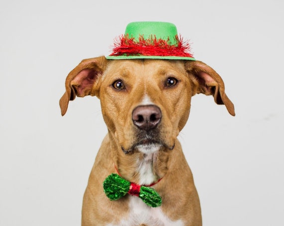 Christmas Party Top Hat|| Christmas Hat || Dog Crown || Dog Hat || Holiday Pet Accessory