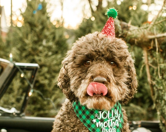 Santa Hat || Dog Santa Hat || Dog Christmas Outfit Costume || Animal Pet Holiday Outfit