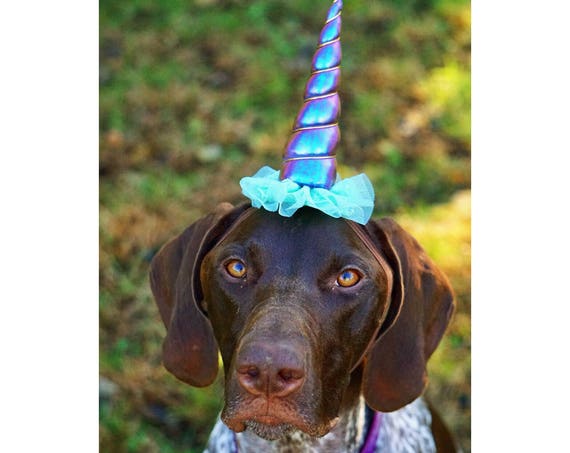 Dog Unicorn Costume || Dog Unicorn Headband || Unicorn Headband for Dog || Pet Unicorn Costume || Dog Unicorn || Unicorn Dog