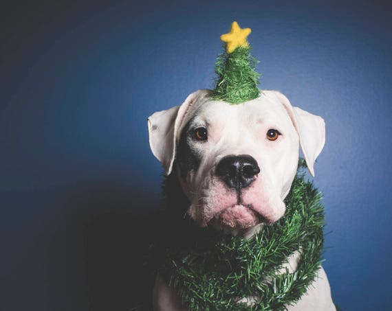 Christmas Tree Hat || Holiday Hat || Tree Hat || Holiday Accessory