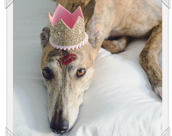 Birthday Crown Hat || Dog Birthday Hat || Pet Party Hat || Cat Kitty Puppy Pig