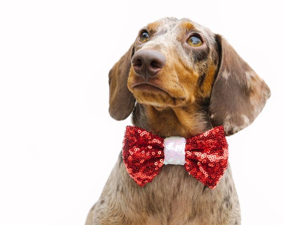 Pet Christmas Bow || Christmas Dog Bow || Bow Headband || Dog Christmas Bow || Christmas Puppy || Pet Christmas Gift