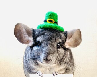 Chinchilla hats Clearance