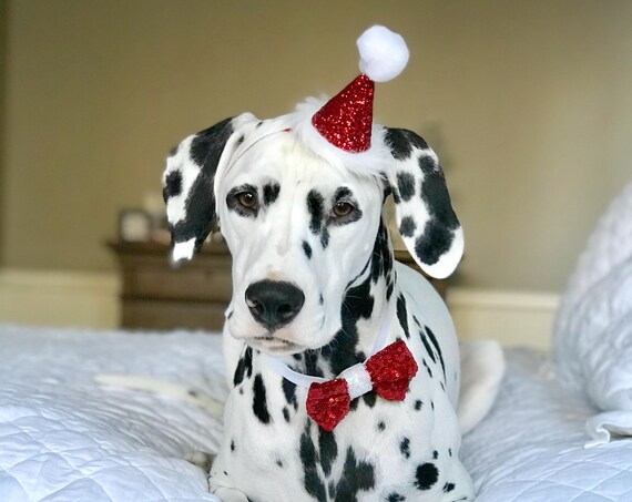 Santa Hat and Bow Tie || Dog Christmas Outfit Costume || Animal Pet Holiday Outfit