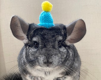 Tiny Beanie for Pets Chinchilla Pig Hat | Small Pet Party Hat | Rat Hat | Mouse Hat | Turtle Hat | Hedgehog Hat