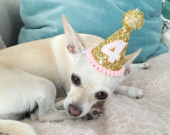Dog Costumes || Birthday Hat || Dog Party Hat || Dog Birthday Party Outfit || Animal Birthday Hat || Pet Birthday Hat || Dog Clothes