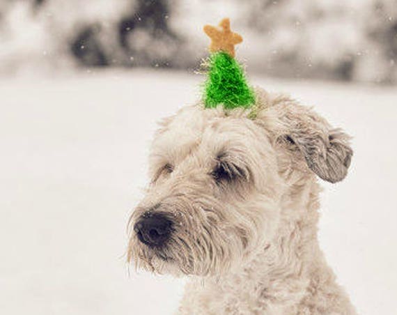 Christmas Hat || Christmas Tree Hat || Animal Hat || Dog hat || Holiday Accessory