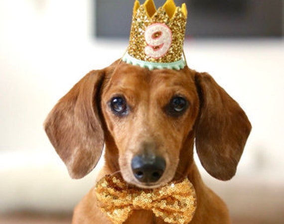 Dog Birthday Hat + Bow Tie || Animal Party Hat || Cat Kitty Puppy Pig Birthday Crown Hat || Add Any Number