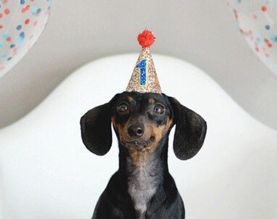 Dog Birthday Hat || Dog Lover Gift || Dog Clothes || Dog Tag || Circus Party Hat