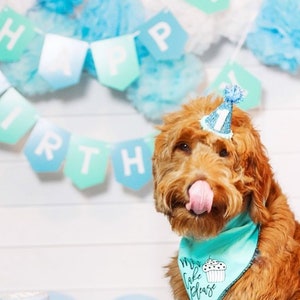 Pet Birthday Dog Party Hat Cat Kitty Dog Pig Birthday Hat Dog Birthday Dog Birthday Costume