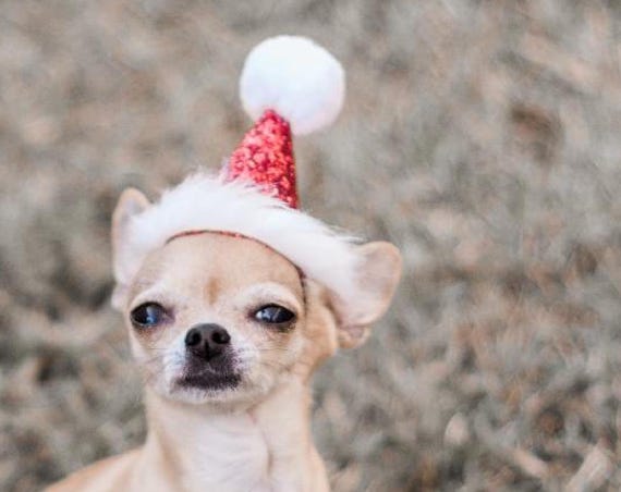 Christmas Hat for Dogs || Santa Hat for Dog || Santa Hat || Pet Santa Hat || Pet Christmas Gift