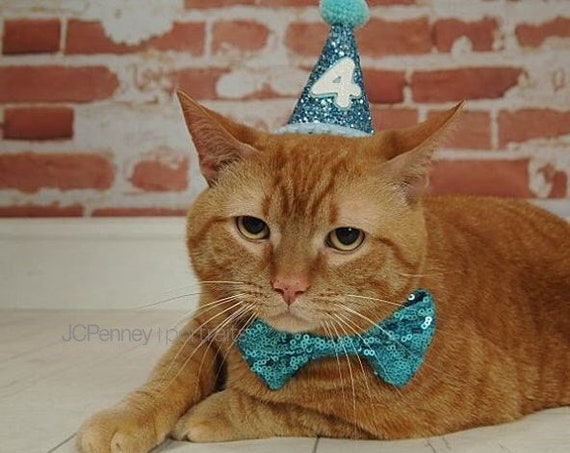 Cat Birthday Hat and Large Bow Tie || Dog Gift || Pet Birthday Party Outfit || Pet Puppy Cat Kitten || Kitty Pig Birthday Crown |