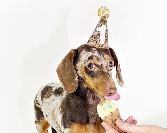 Dog Hat || Dog Clothes || Dog Party Hat || Cat Hat || Animal Hat Dog Crown || Busters Party Shop