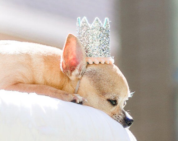 Dog Glitter Crown || Animal Birthday Hat || Dog Party Hat || Dog Crown || Dog Birthday Crown || Pet Party Hat
