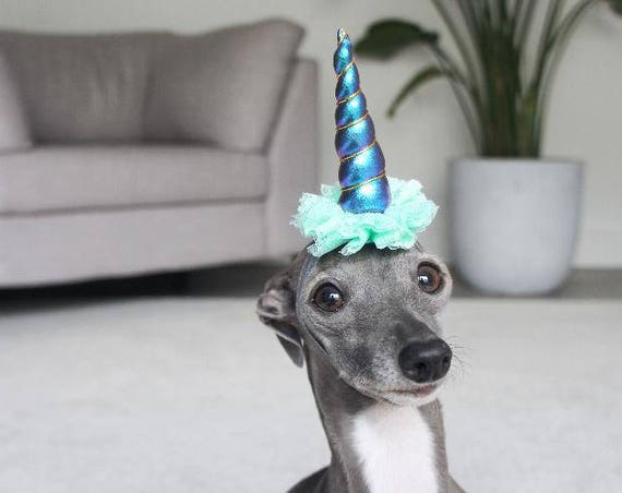 Mini Unicorn Horn || Dog Unicorn Headband || Unicorn Headband for Dog || Pet Unicorn Costume || Dog Unicorn || Unicorn Dog