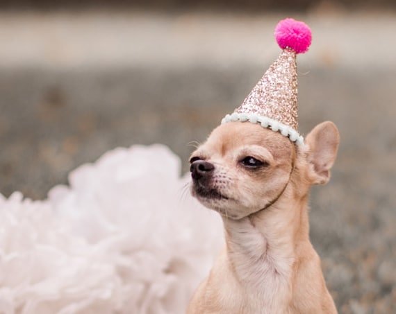 Dog Birthday Hats || Animal Hat || Dog Crown || Busters Party Shop || Cat Birthday Crown || Pale Gold + Fuschia + Mint