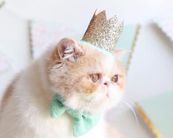 Cat Birthday Hat + Bow Tie || Animal Party Hat || Cat Kitty Puppy Pig Birthday Crown Hat || Add Any Number