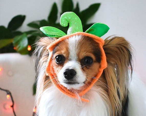 Pumpkin Dog Costume Hat || Cat Pumpkin Hat Headband || Dog Halloween Costume || Halloween Puppy