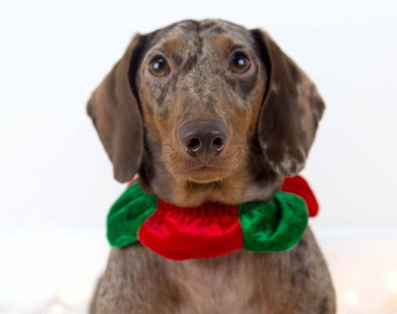 Elf Costume || Christmas Elf || Christmas Clothes for Dogs || Cat Elf Costume || Busters Party Shop || Holiday Accessory