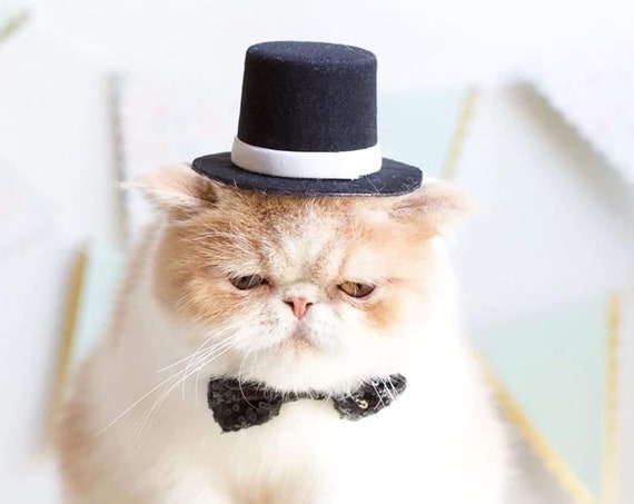 Top Hat and Bow Tie || Dog Gift || Pet Birthday Party Outfit || Pet Puppy Cat Kitten || Kitty Pig Birthday Crown |