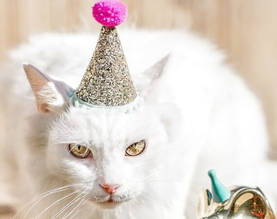 Cat Costume || Cat Birthday Hat || Cat || Cat Crown || Cat Costumes || Party Hat