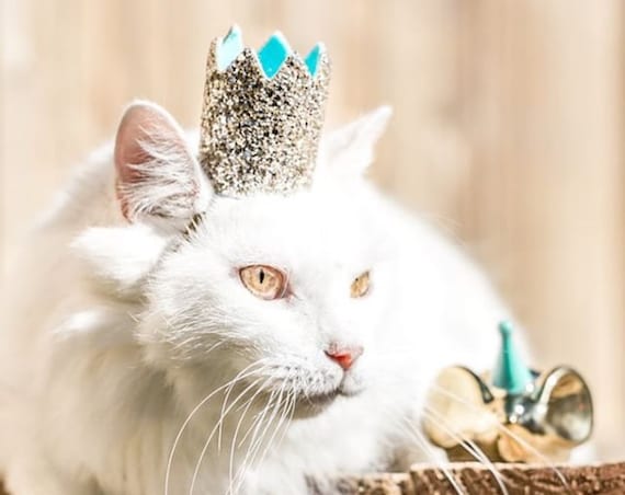 Kitty Crown || Cat Birthday Crown Hat || Animal Birthday Hat