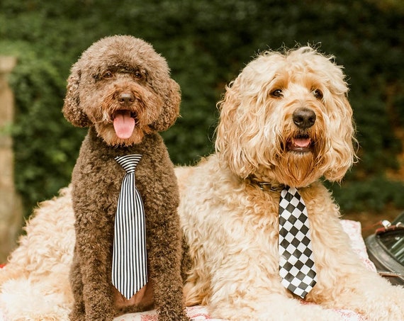 Dog Neck Tie || Neck Tie || Dog Tie || formal Dog Costume || Striped Blue Tie
