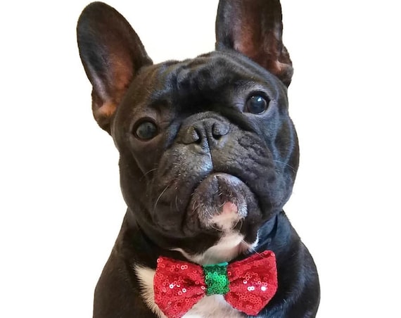 Christmas Bow Tie || Dog Christmas Bow || Christmas Puppy || Pet Christmas Gift