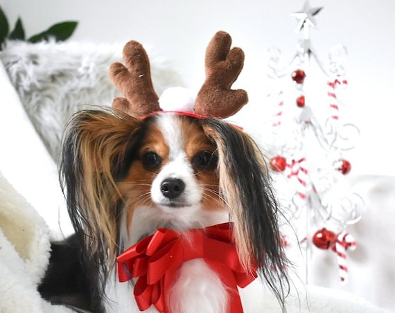 Reindeer Antlers for Dogs || Dog Reindeer || Christmas Hat for Dogs || Animal Hat || Dog hat || Holiday Accessory