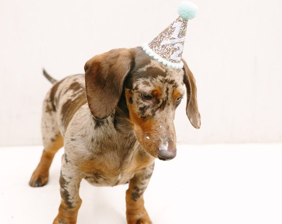 Dog Party Hat || Half Birthday Party Hat || Animal Hat || Dog Crown || Pet Birthday || Busters Party Shop || Confetti + Mint
