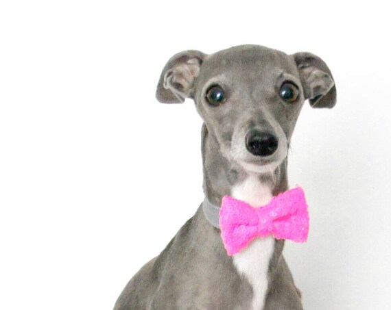 Dog Bow Tie Bowtie || Cat Neck Tie || Bowtie for Kitty || Pet Bow Tie || Cat Costume