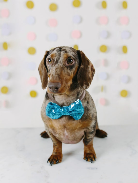Bowtie for Dog|| Dog Bow Headband || Dog Neck Tie || Pet Bow Tie || Dog Clothes