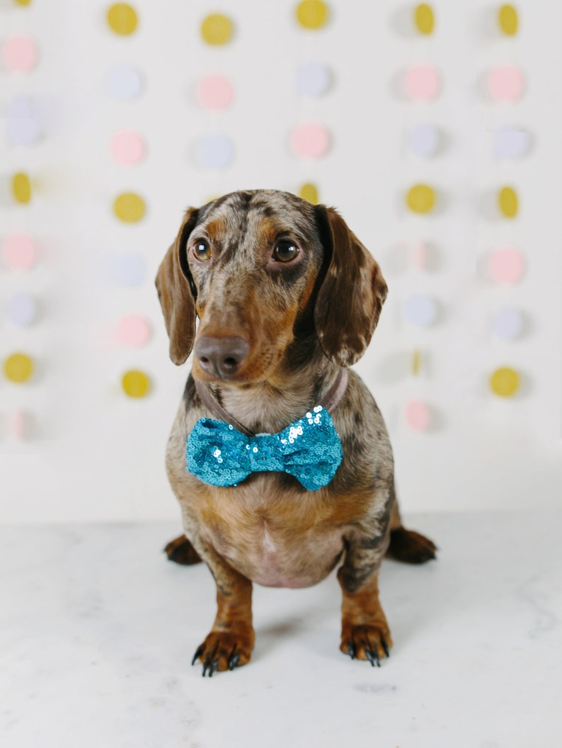 Bowtie for Dog Dog Bow Headband Dog Neck Tie Pet Bow Etsy