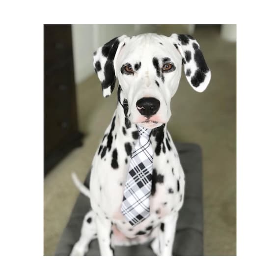 Dog Neck Tie || Neck Tie || Dog Tie || formal Dog Costume || Striped Blue Tie