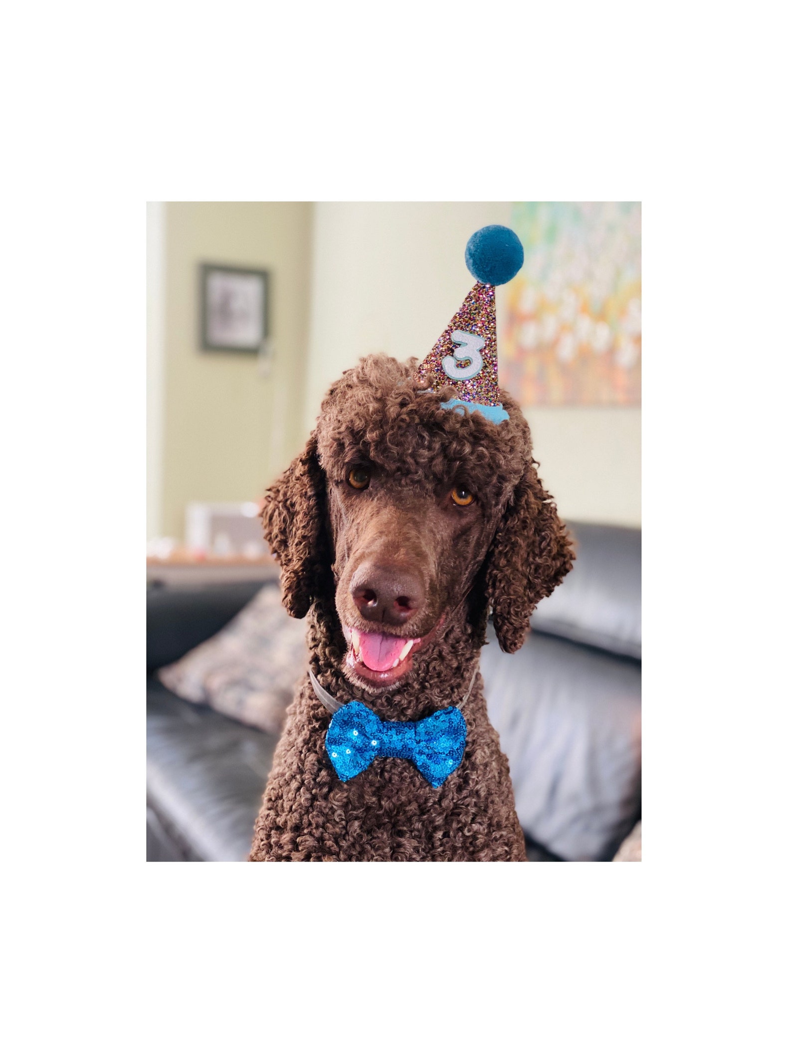 Large Dog Party Hat and Bow Tie Large Party Hat Dog Cat Etsy