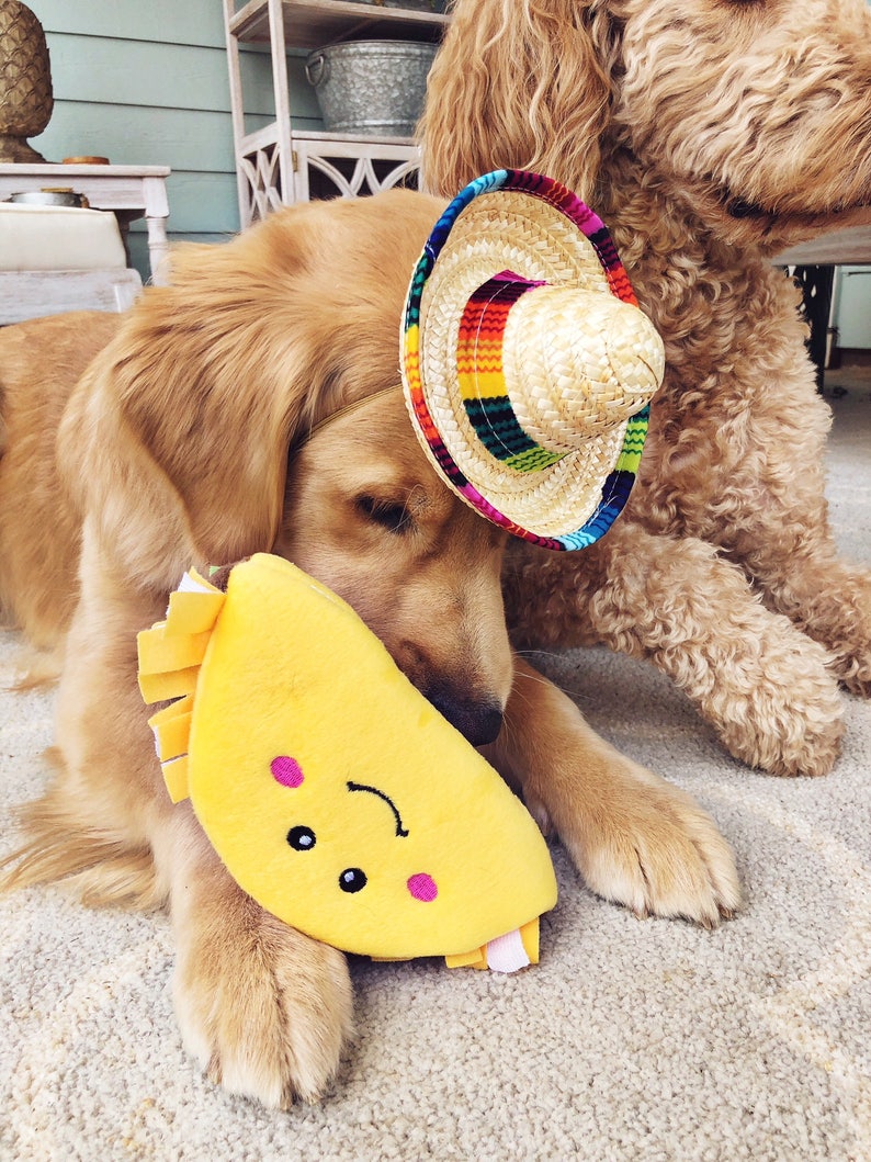 Sombrero Bow Tie Mini Sombrero Dog Hat Straw Hat Etsy