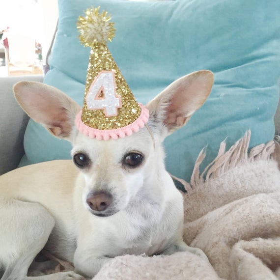 Dog Birthday Hat || Dog Party Hat || Dog Birthday Party Outfit || Animal Birthday Hat || Pet Birthday Hat || Dog Clothes