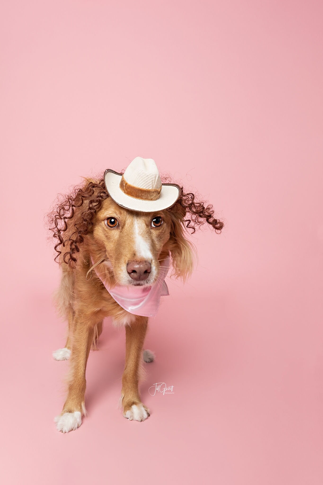 cowgirl dog costume